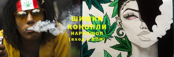 ALPHA PVP Володарск