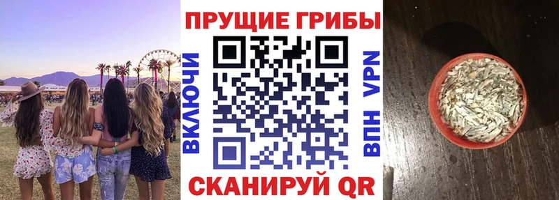 Купить где  Межгорье  Псилоцибиновые грибы GOLDEN TEACHER 